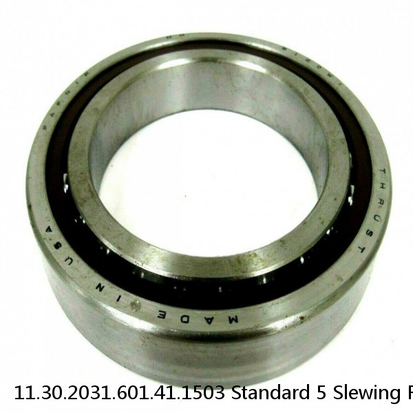 11.30.2031.601.41.1503 Standard 5 Slewing Ring Bearings