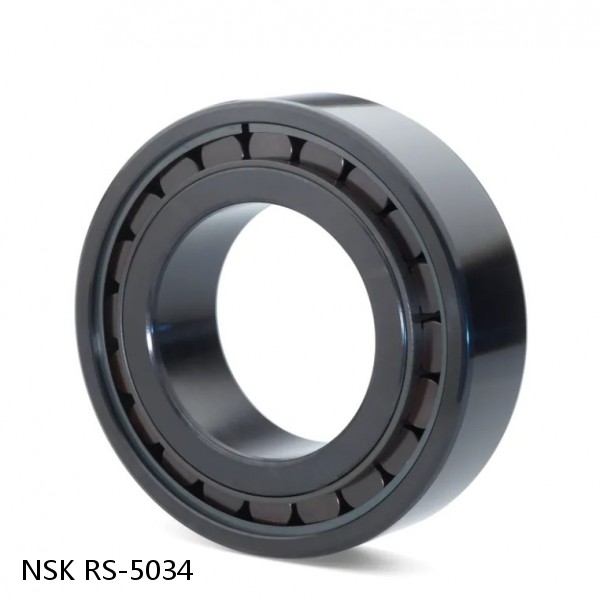RS-5034 NSK CYLINDRICAL ROLLER BEARING