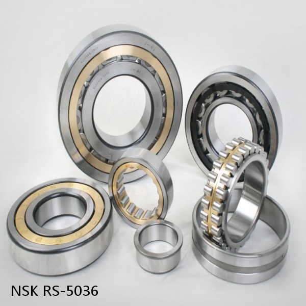 RS-5036 NSK CYLINDRICAL ROLLER BEARING