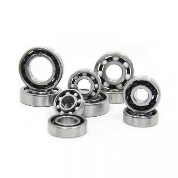 Toyana BK455538 cylindrical roller bearings