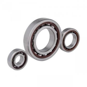Skillful Ball Bearing (6408 6408ZZ 6408-2RS) with Best Price