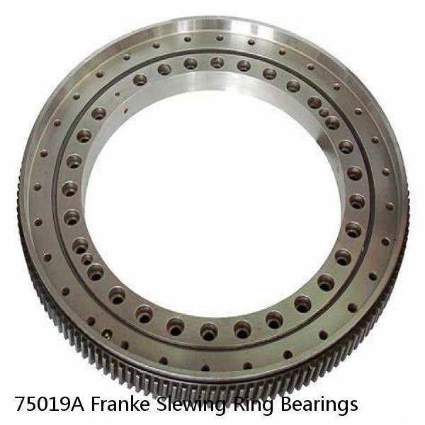 75019A Franke Slewing Ring Bearings