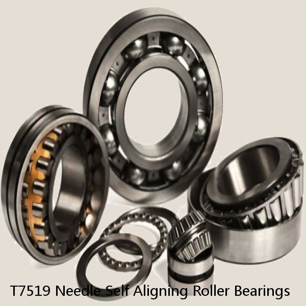 T7519 Needle Self Aligning Roller Bearings