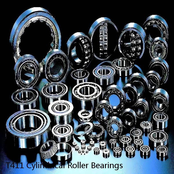 T411 Cylindrical Roller Bearings