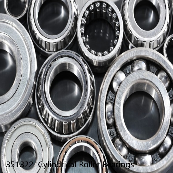 351322  Cylindrical Roller Bearings