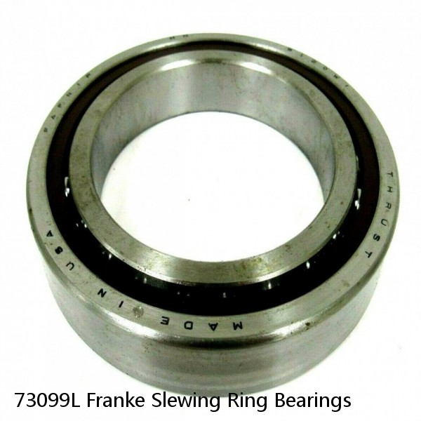 73099L Franke Slewing Ring Bearings