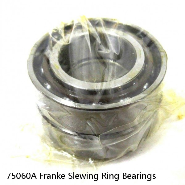 75060A Franke Slewing Ring Bearings